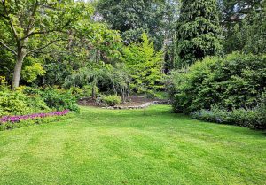 Optimiser l'expérience du jardin à Bremontier-Merval